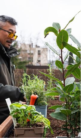 Entretien jardin service domicile nancy
